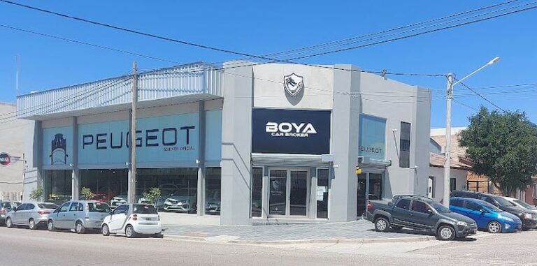 boya car broker 768x381