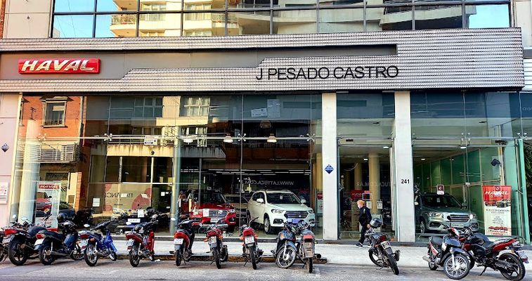 haval pesado castro