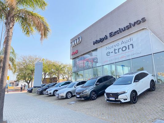 maipu exclusive audi 1