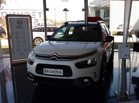 naum citroen