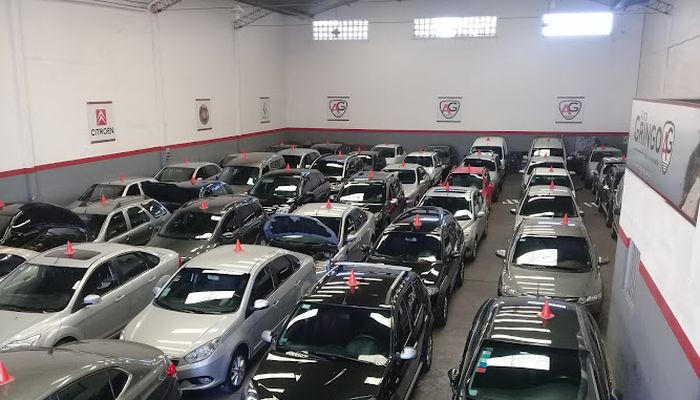 autogringo