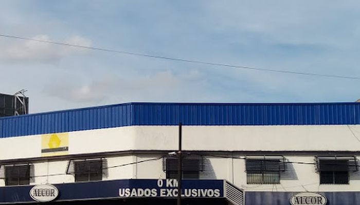agencia alcor