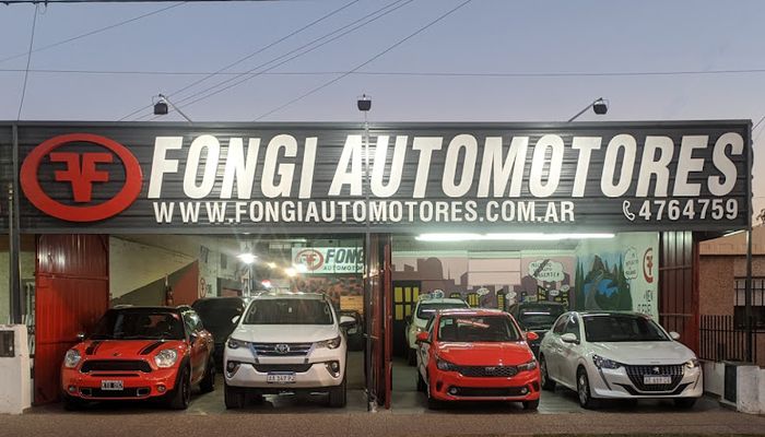 fongi automotores