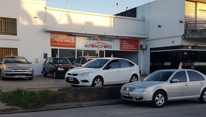 perdomini automotores