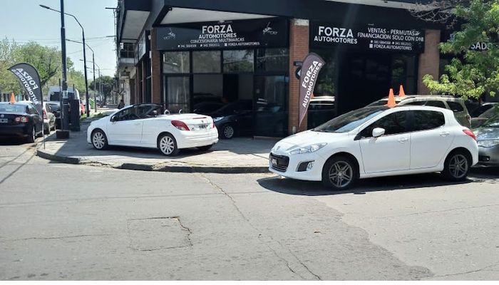 forza automotores